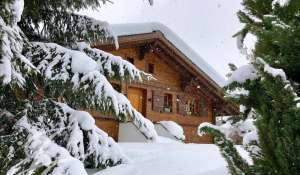 Alquiler Chalet Saanen