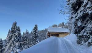 Venta Chalet Gstaad