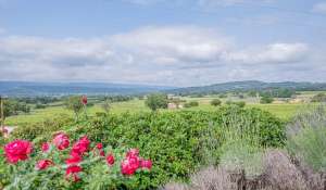 Venta Finca Bonnieux