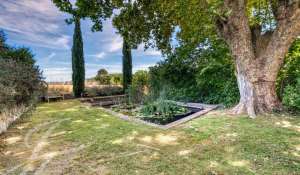 Venta Finca Lourmarin