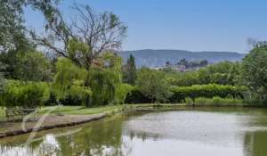 Venta Finca Ménerbes