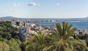 Venta Piso Palma de Mallorca