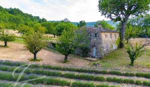 Venta Propiedad Saignon