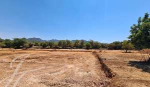 Venta Terreno construible Felanitx